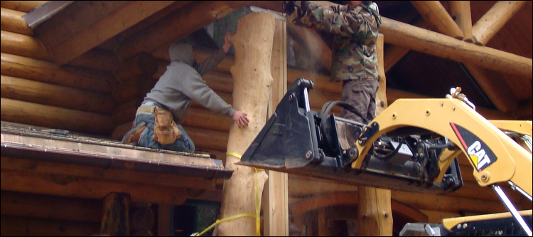 Log Home Log Replacement  Montgomery County, Virginia
